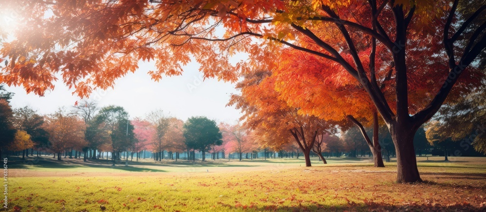 Poster view of park with autumn trees and grass
