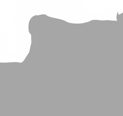 Paper Torn Illustration