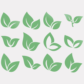 Collection of leaf logos
