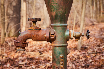 Rusted Water Spigot in Autumn Forest - Shallow Depth Focus