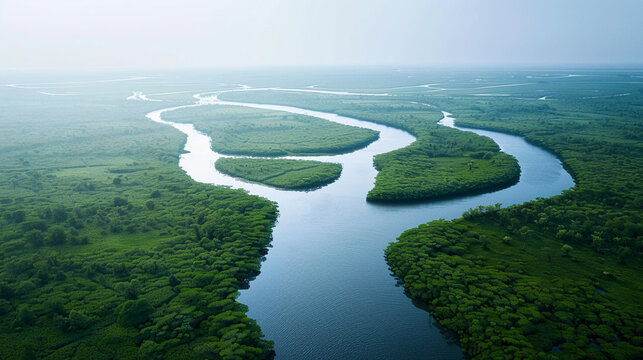 The Congo Rivers path through mangrove swamps near its mouth seen from the sky highlighting the natural beauty of this ecosystem
