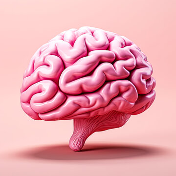 A pink brain is shown on a pink background. The brain is the main focus of the image, and it is a cartoonish representation of a real brain