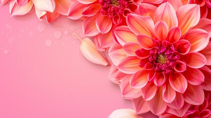 Flower on background, a depiction of amazing blossom. Bright and colorful, it's a gorgeous sight to...