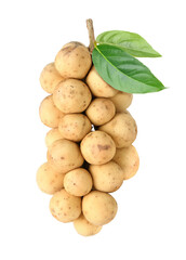 Long gong fruit or lansium parasiticum isolated on white background.