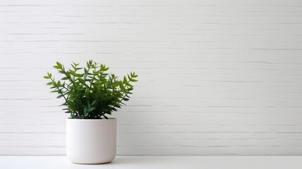 Green potted plant on white brick background with empty copy space