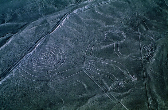 Mysterious Nazca lines form a monkey in the desert of Peru
