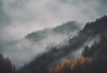 Cercles muraux Matin avec brouillard Mountains in the fog