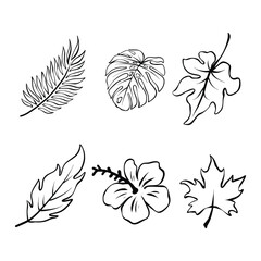 Botanical linear flower set. Abstract creative floral collection, minimalist flowery art for print, tattoo. Vector illustration