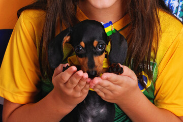 Menina com filhote de duchshund vestidas de brasil, bandeira do brasil, copa do mundo de futebol 