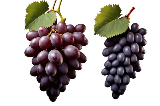 Wine grape isolated on PNG Background. Generative Ai.