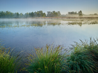 Donauauen, Niederösterreich, Österreich
