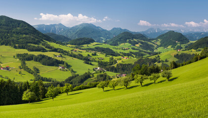 Obraz premium oberösterreichisches Alpenvorland nahe Maria Neustift, Oberösterreich, Österreich