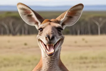 Fotobehang cartoon of a very large toothy smiling kangaroo with a wide smile. Kangaroo looks at the camera with a white smile. Playground AI platform © Марина Юркова