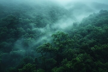 Obraz premium Misty hills covered in dense green foliage showcase the moody atmosphere of a forested landscape.