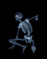 structural skeleton is crouched and ready for action
