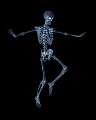 structural skeleton is landing