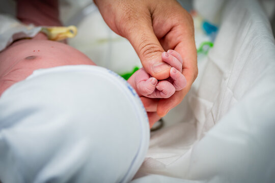M&atilde;o do pai segurando a m&atilde;o do beb&ecirc; nen&eacute;m rec&eacute;m-nascido