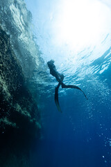 Freediver Swimming in Deep Sea With Sunrays. Young Man Diver Eploring Sea Life. - 763398835