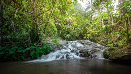 Fototapeta premium A gorgeous waterfall captured in long exposure, Thailand.