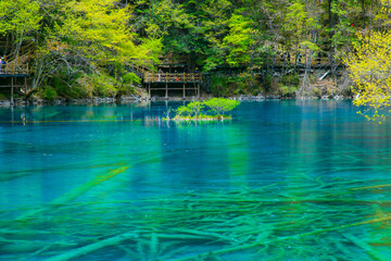 Jiuzhaigou Valley, Aba Qiang and Tibetan Autonomous Prefecture, Sichuan Province - beautiful lakes...