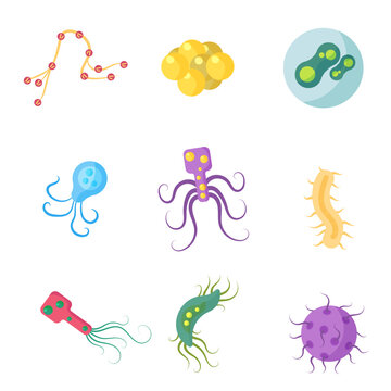 Colorful set of bacteria and microbes, microorganisms, disease causing objects, different types, bacteria, viruses, fungi, protozoa. Vector flat cartoon illustration isolated on white background