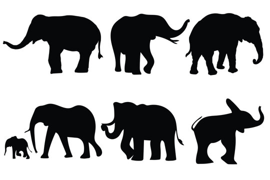 Set of editable vector silhouettes of African elephants. Vector illustration.