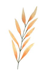 Orange leaf watercolor, natural, PNG - 763405425