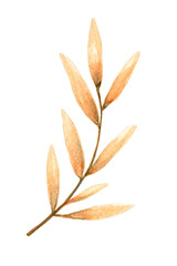Orange leaf watercolor, natural, PNG - 763405438