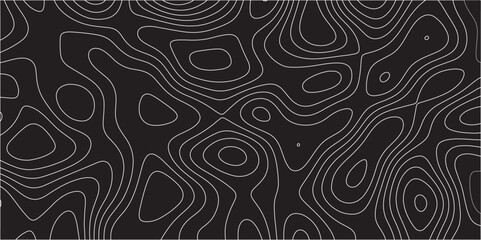 Black and white abstract background Abstracts Topographic map and white lines, contour background, Vector contour topographic map background. Topography Animation Motion. Slowly moving colorful lines.