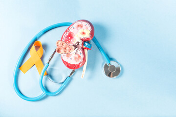 Human kidney cross section, stethoscope, kidney model and kidney cancer ribbon.