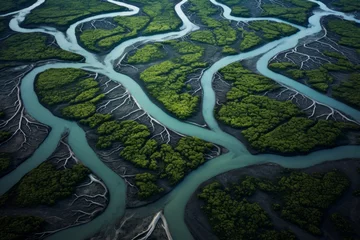 Foto op Plexiglas Aerial view of winding river deltas forming intricate waterways © KerXing