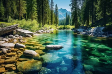 Fotobehang Crystal-clear river flowing through a picturesque forest landscape © KerXing