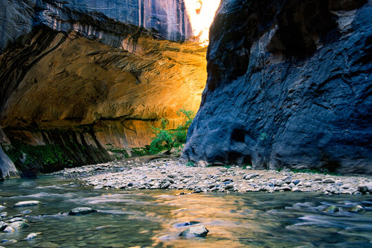 A golden glow emanates from behind a curve in a rock canyon in the Virgin River Narrows, Zion National Park, Utah