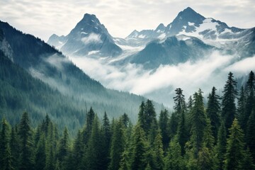Fototapeta premium Majestic forested mountains covered in a thick blanket of trees