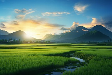 Peaceful paddy field landscape with the sun setting behind distant mountains
