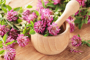 Red clover extract in wooden mortar with leaves and flowers on rustic background, closeup, remedy...
