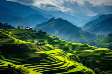 Fotobehang Rolling hills adorned with terraced paddy fields, capturing the beauty of agriculture © KerXing