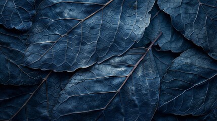 Leaf texture, leaf background with veins and cells - obrazy, fototapety, plakaty