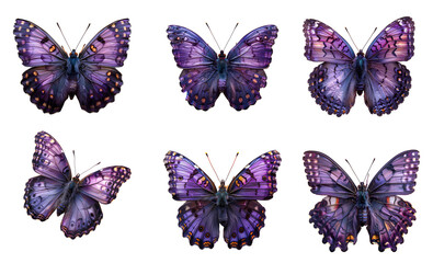 Purple butterfly set PNG. Purple butterfly PNG. Purple hairstreak butterfly. Purple butterfly top...