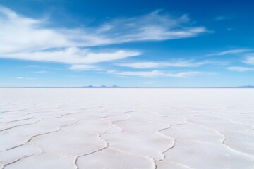 Vast salt flats extending to the horizon under a clear sky