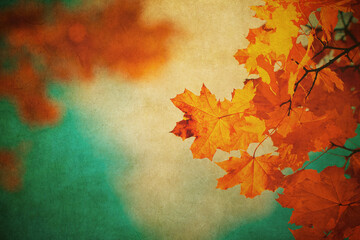Autumn leaves over old paper. Perfect grunge fall background.. - 763415069