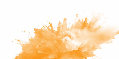 Orange color powder splash on a white background. Orange powder explosion on white background. Rainbow Holi paint color powder explosion with bright colors.  - obrazy, fototapety, plakaty