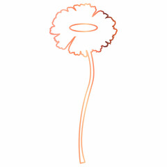Chamomile flower drawing pink for decoration.