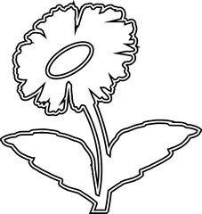 Chamomile flower doodle drawing for decoration.