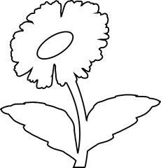 Chamomile flower doodle drawing for decoration.