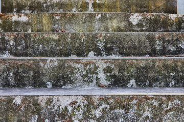 Moss-Covered Stone Steps in Lindenwood Cemetery, Eye-Level View