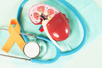World kidney day, kidney model and orange ribbon.