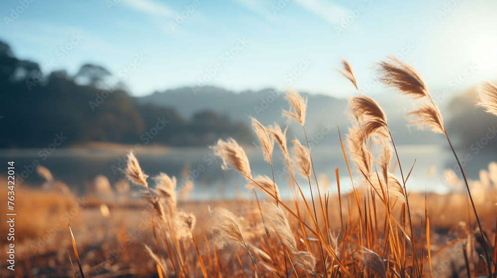 Poster golden hour view of delicate reed grass swaying in the breeze by a tranquil lake with a soft-focus b