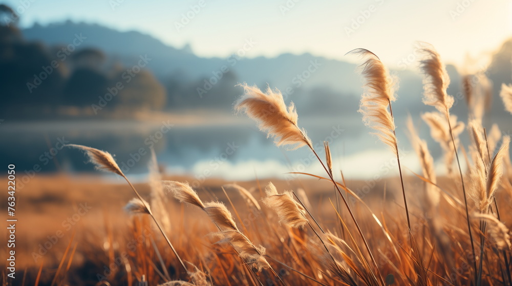 Poster golden hour view of delicate reed grass swaying in the breeze by a tranquil lake with a soft-focus b