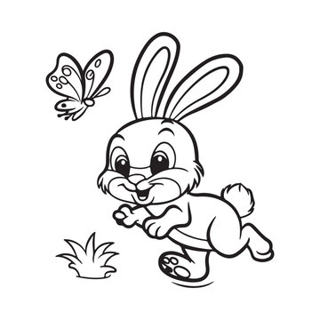 	
Vector coloring book on rabbit is chasing the butterfly